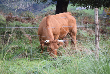 El Gobierno ampliará a dos años el ...
