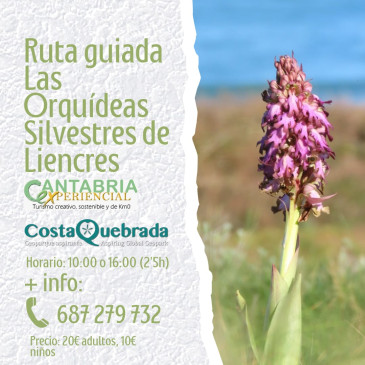 La ruta guiada ‘Las orquídeas ...