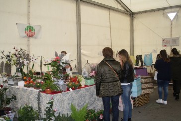 La Asociación de Comerciantes de ...