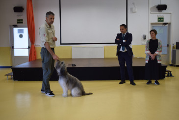 Cabárceno y Ayuntamiento de Piélagos ...