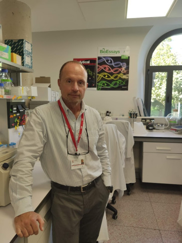 Los mecanismos moleculares ...