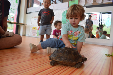 ‘Niki’ y ‘Uga’ visitan ...