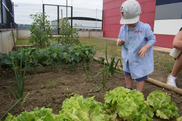 El Ayuntamiento de Piélagos abrirá, ...