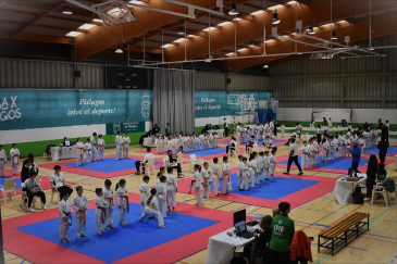 Más de 400 karatecas participaron en ...