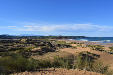 La Asociación Cultural Bosques de ...