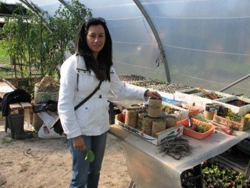 Abierto el plazo para solicitar uno de ...