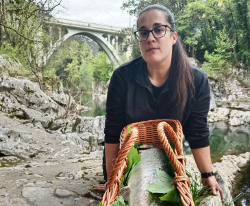 Piélagos subastará mañana,  domingo, ...