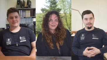 Trabajar, estudiar o emprender: tres ...