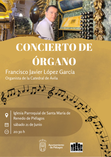 El organista de la catedral de Ávila ...