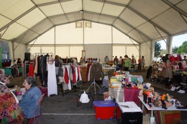 Mañana, jueves, finaliza el plazo de ...