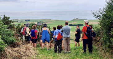 Arrancan con éxito de público las ...
