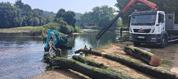 Piélagos retira troncos de gran ...