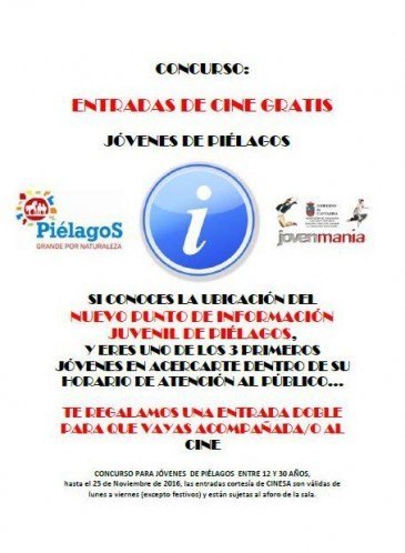 El Servicio de Juventud del ...