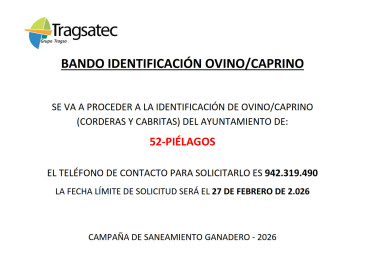 Abierto hasta el 27 de febrero el plazo ...