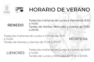 Las bibliotecas municipales del ...