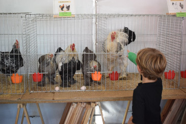 Avicant participa en la Feria de la ...