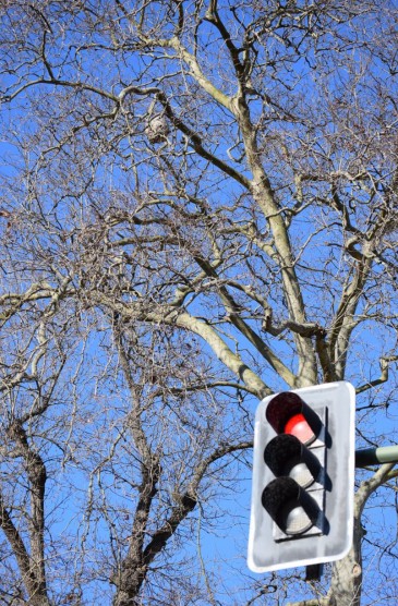 El Ayuntamiento de Piélagos elimina ...