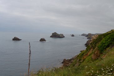 Más de 2.600 personas visitaron el ...