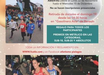 El Ayuntamiento de Piélagos celebrará ...