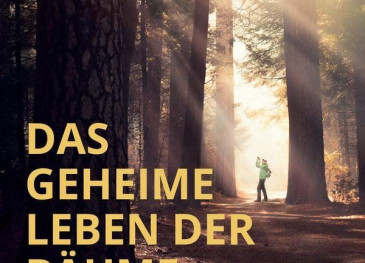 La Filmoteca Regional programará este ...