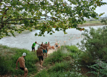 Cerca de un centenar de nadadores ...