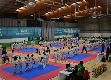 Más de 400 karatecas participaron en ...