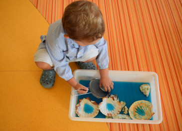 Piélagos abre desde este lunes y hasta ...