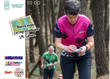 Los pinares de Liencres, sede este ...